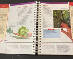 Scott Foresman Science Discover The Wonder–Teacher’s Edition–3rd Grade