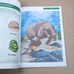 Something Fishy – All About Reading, All About Spelling, All Levels
