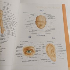 QuickStudy Atlas of Human Anatomy Vincent Perez Health Home School Good