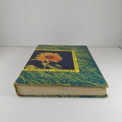 Botany 3rd Edition by Wilson & Loomis 1962 Holt, Rinehart And Winston Illustr HC