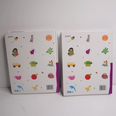 K12 PhonicsWorks Basic Lesson Guide Books 1 & 2 Set Set Hardback