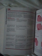Harvard Medical School Family Health Guide by Harvard Medical School Staff…
