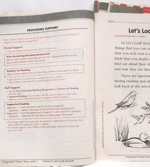 Houghton 1st Grade Reading INTEGRATED THEME TESTS Teacher Edition level 1.1-1.5