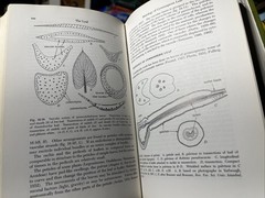 Plant Anatomy Esau, Katherine 1965 Illustrated Botany Textbook Vtg 1960s Rare