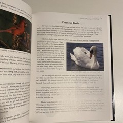 Apologia Exploring Creation With Zoology Set: Books 1, 2 & 3