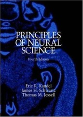 Principles of Neural Science by James H.Schwartz, Eric R.Kandel, Thomas M.Jessel