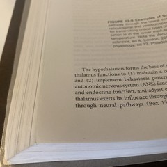 Understanding Pathophysiology by Kathryn L. McCance and Sue E. Huether (2016,…