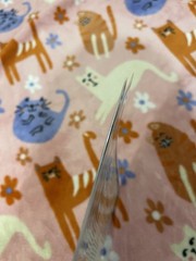 Nursing TEAS 7 – A QuickStudy Academic Laminated Reference Guide