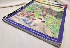 Moving Beyond the Page 10-12 Secret of the Andes Language Arts Curriculum MBTP