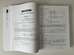 Grammar for the Well Trained Mind Workbook Red