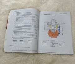 Dental Anatomy Coloring Book 2nd Edition 978-1-4557-4589-0+US SELLER+FREE SHIP