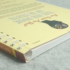 The Big Book of IQ Tests Norman Sullivan Spiral 1988 Tests with Answers