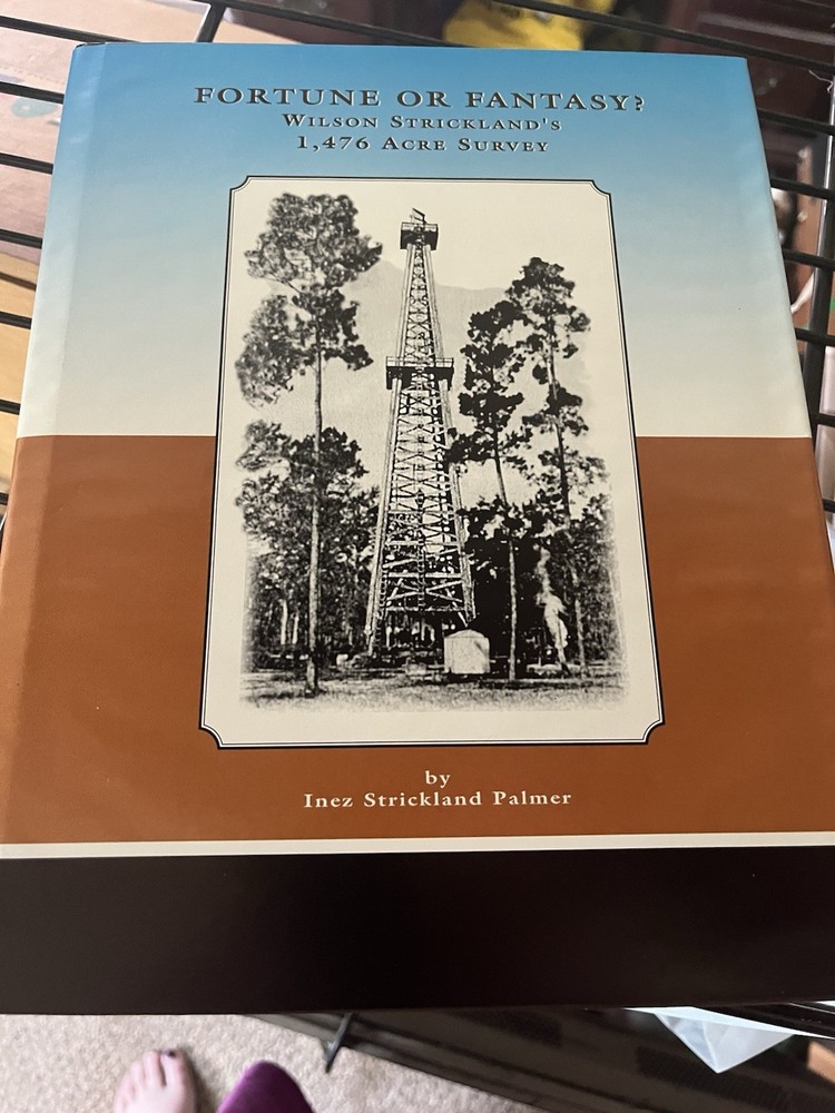 Fortune Or Fantasy By Inez Palmer