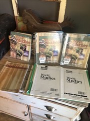 Bob Jones University grade 7 Christian homeschool curriculum World Studies