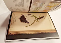 Of Green Leaf, Bird, and Flower [HARDCOVER] Yale University Press 9780300204247