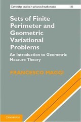 Sets of Finite Perimeter and Geometric Variational Problems: An Introduction to