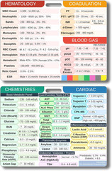 Lab Values, Nursing Reference Badge, Quick Guide for Medical Professionals (C…