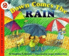 Down Comes the Rain (Let’s-Read-and-Find-Out Science 2) – Paperback – VERY GOOD