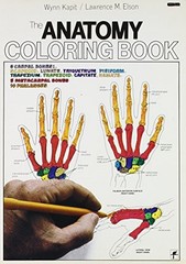 The Anatomy Coloring Book – Paperback By Kapit, Wynn – GOOD