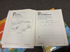 SRA Open Court Reading Level 1 Teacher Lot Masters, Annotated, Transparencies