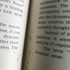 The Age of Information Interdisciplinary Survey of Cybernetics 1971 Helvey HC DJ