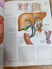 The CIBA Collection Of Medical Illustrations Volume 3 Digestive System 1964