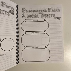 Apologia Zoology 1: Flying Creatures of the Fifth Day Notebooking Journal