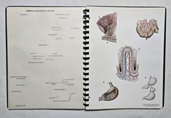 Schick Notebook Charts Human Anatomy Softcover Spiral Bound Book (1987)