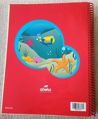 Abeka Letters and Sounds K5 Teacher Key Teacher’s Edition 2nd Ed Spiral Book