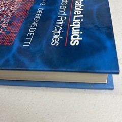 Physical Chemistry: Science and Engineering Ser.: Metastable Liquids : Concepts