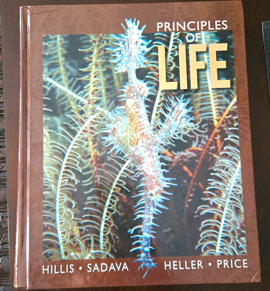 Principles of Life Biology Hardcover 2011 Hillis et al Sinauer