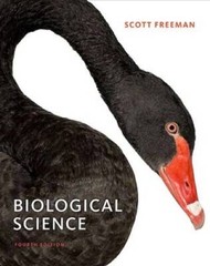 Biological Science (4th Edition) – Hardcover By Freeman, Scott – GOOD