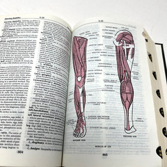Taber’s Cyclopedic Medical Dictionary – Edition 14 Hardcover 1981 Illustrated