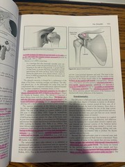 Kinesiology for Occupational Therapy by Melinda Rybski (2019, Trade Paperback)