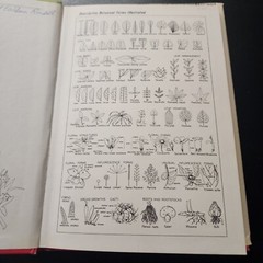 Exotic Plant Manual by A. B. Graf 1200 Illustrations Botany 1976 10th Edition