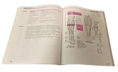 A Visual Analogy Guide to Human Anatomy, 3rd Ed. Paul Krieger Exam Copy – GOOD