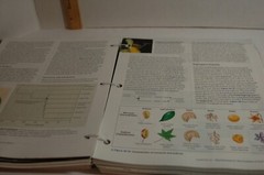 Campbell Biology 10th Edition Binder-ready Looseleaf Textbook Pearson A La Carte
