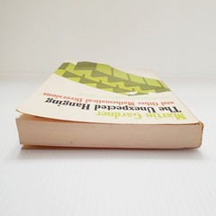 The Unexpected Hanging And Other Mathematical Diversions Book by Martin Gardner