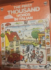 Beginner to Intermediate Italian Study Set – Practice Makes Perfect + Usborne