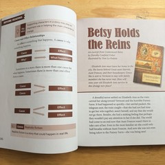 BJU Press Bob Jones University Reading 4 Voyages Student Text Teacher Resources