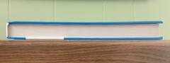 Criminal Justice in Action by Larry Gaines & Roger Miller 11th Eleventh Edition