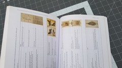 Italian Renaissance Drawings : Technical Examination and Analysis