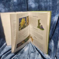 Apologia, Young Explorer Series, Exploring Creation with Botany, Fulbright 2009