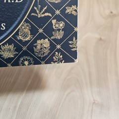 Lost Book of Remedies by Nicole Apelian and Claude Davis Sr.