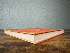 PROJECTIVE GEOMETRY CREATIVE POLARITIES IN SPACE AND TIME BY OLIVE WHICHER 1971