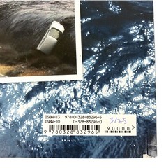 A TSUNAMI UNFOLDS 2016 Kimiko Kajik & Susan Korman Paperback 2016 VERY GOOD