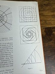 PROJECTIVE GEOMETRY CREATIVE POLARITIES IN SPACE AND TIME BY OLIVE WHICHER 1971