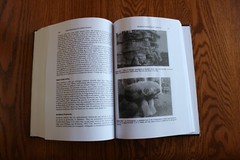 Rock Weathering and Landform Evolution Edited by D.A. Robinson Wiley Pub HB