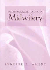 Professional Issues In Midwifery – Paperback By Hamlin, Lynette – GOOD
