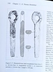 Murray Springs: A Clovis Site with Multiple Activity Areas, San Pedro Valley AZ